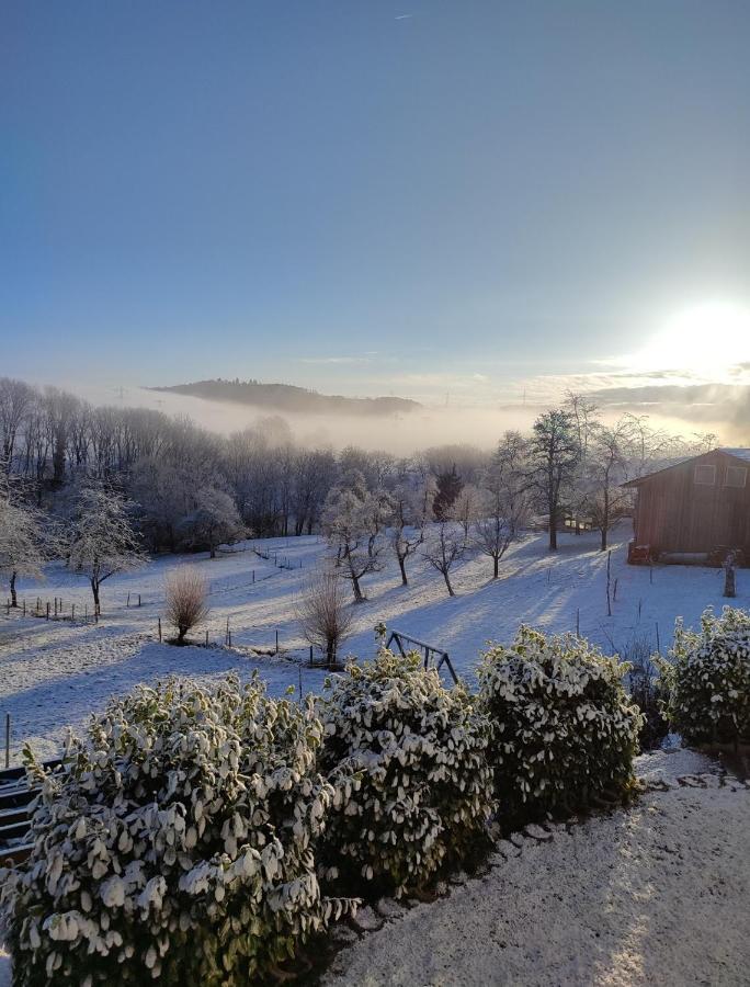 Ferien Im Schwarzwald - Ruhe & Naturverbunden Weilheim エクステリア 写真