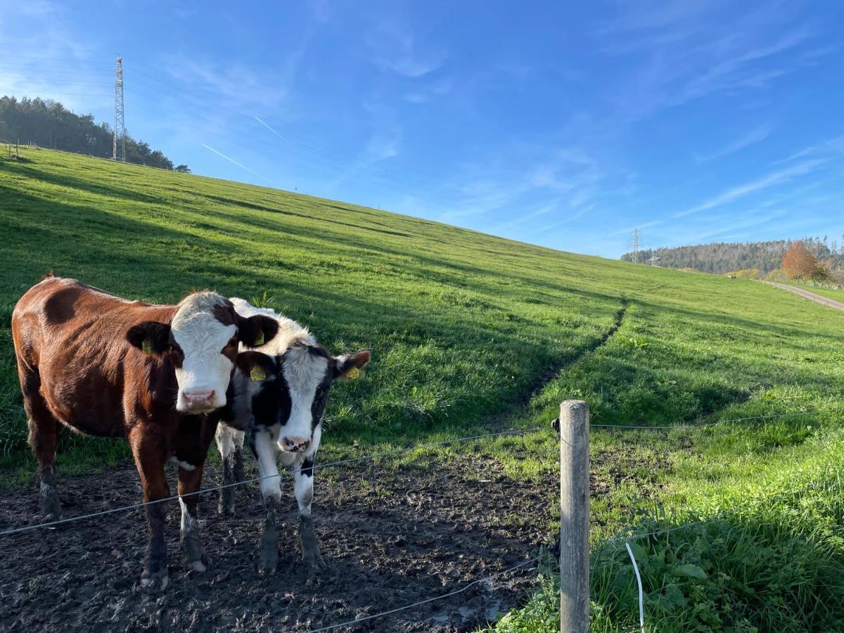 Ferien Im Schwarzwald - Ruhe & Naturverbunden Weilheim エクステリア 写真