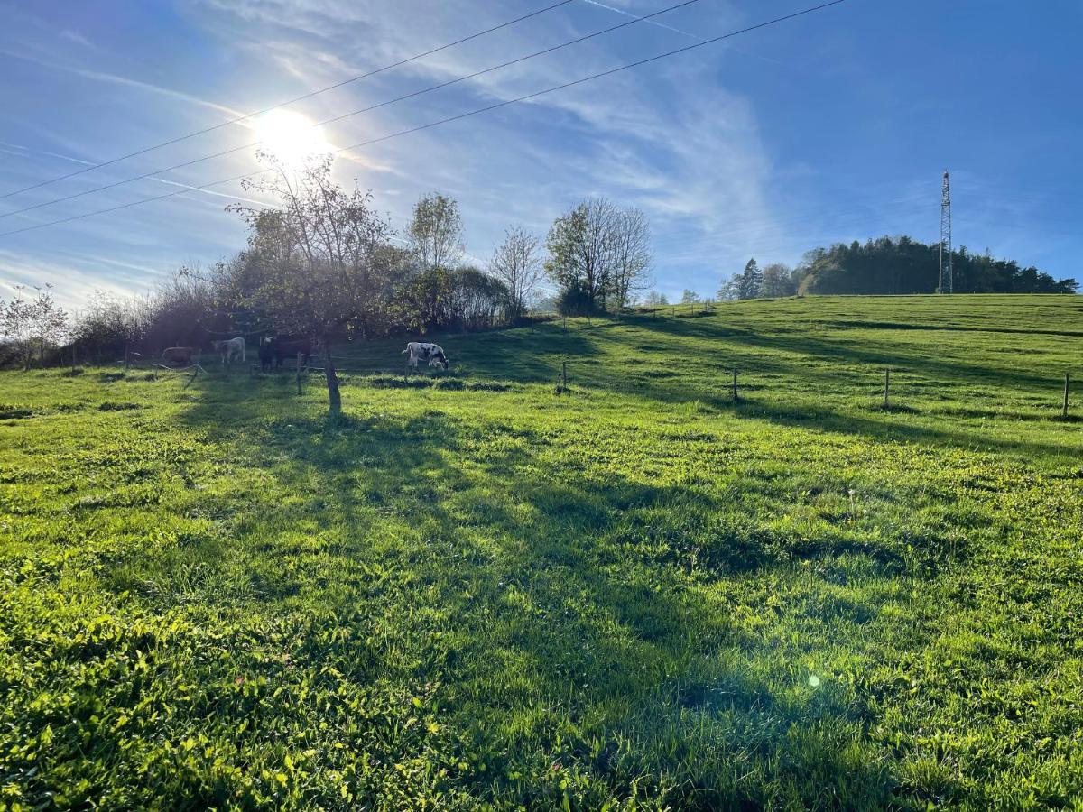 Ferien Im Schwarzwald - Ruhe & Naturverbunden Weilheim エクステリア 写真