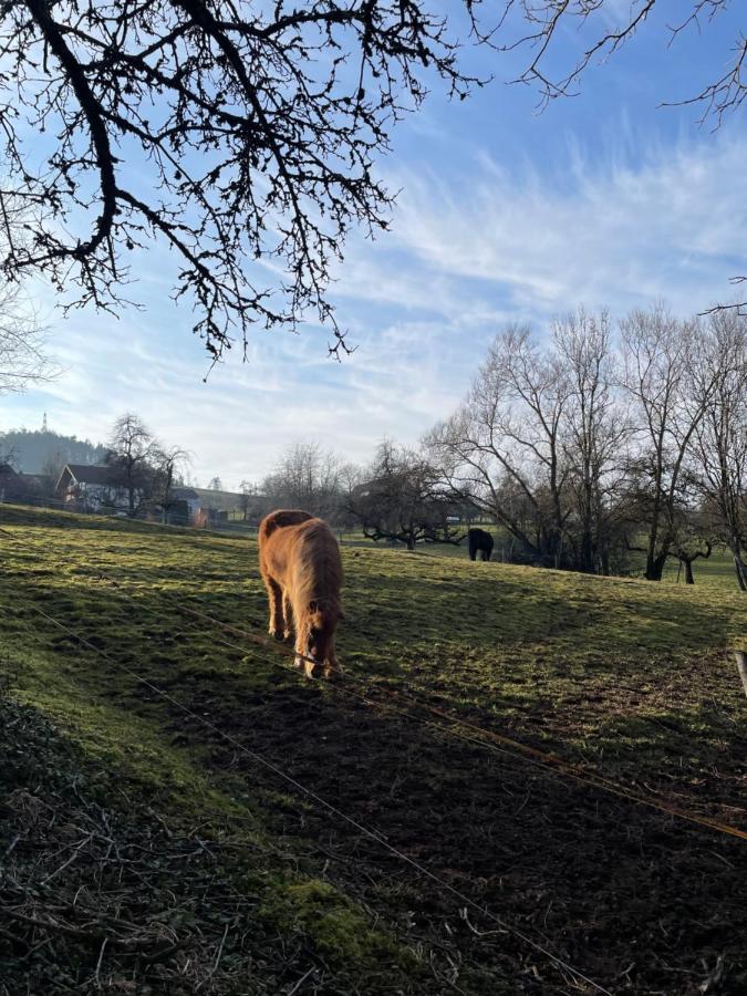 Ferien Im Schwarzwald - Ruhe & Naturverbunden Weilheim エクステリア 写真